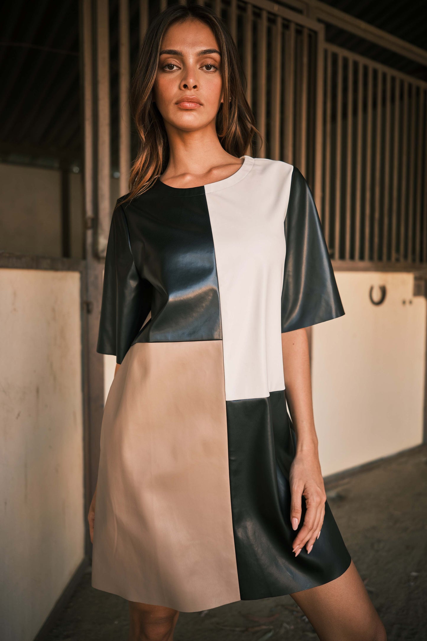 Isla Colorblock Faux Leather Dress